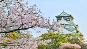 DISCOVER-JAPAN-IN-15-DAYS