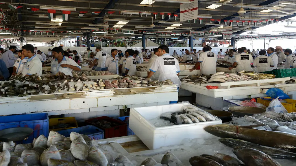 Dubai fish market