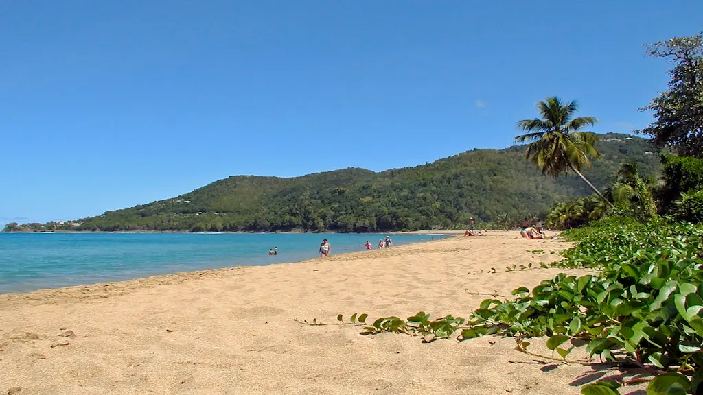 beaches of Guadeloupe