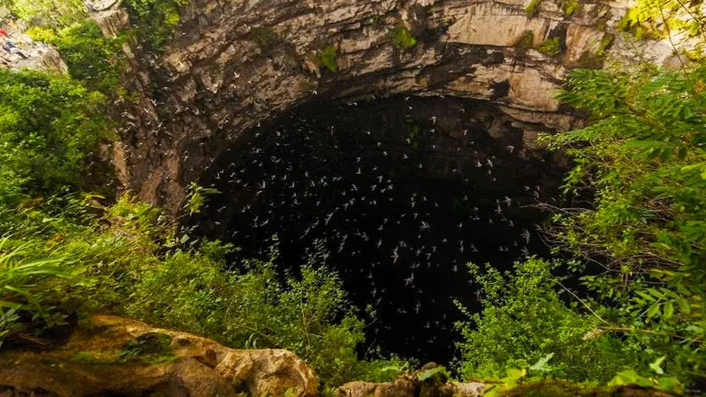Cave of Swallows